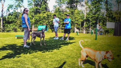Image of Artisan at Brightleaf Dog Park (Private) park in Durham, New Hampshire, United States Image of Artisan at Brightleaf Dog Park (Private) park in durham, new-hampshire, united-states