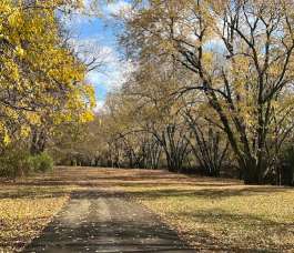 Image of Westside Park park in Muncie, Indiana, United States Image of Westside Park park in muncie, indiana, united-states