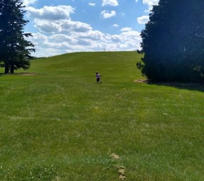 Image of Adelaide Park park in Fond du Lac, Wisconsin, United States Image of Adelaide Park park in fond-du-lac, wisconsin, united-states