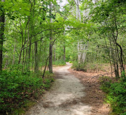 Image of Blydenburgh County Park park in Smithtown, New York, United States Image of Blydenburgh County Park park in smithtown, new-york, united-states