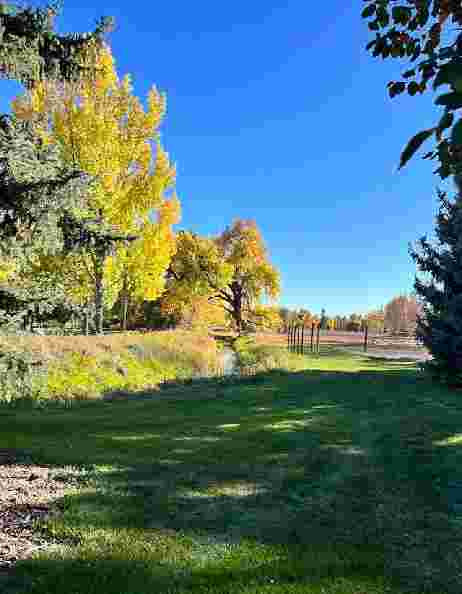 Image of Rolland Moore Park park in Fort Collins, Colorado, United States Image of Rolland Moore Park park in fort-collins, colorado, united-states