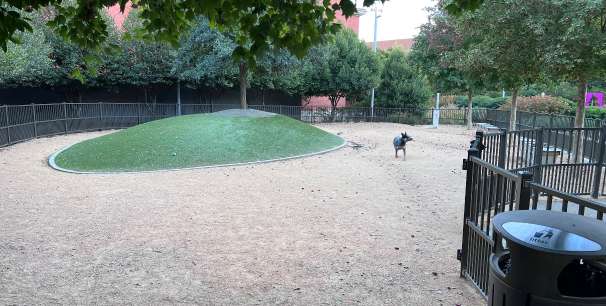 Image of Downtown Greensboro Animal Hospital Dog Park park in Greensboro, North Carolina, United States Image of Downtown Greensboro Animal Hospital Dog Park park in greensboro, north-carolina, united-states