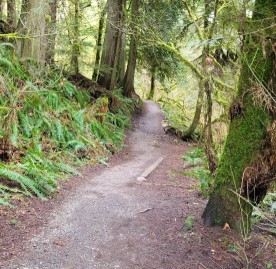 Image of Arroyo Park park in Bellingham, Washington, United States Image of Arroyo Park park in bellingham, washington, united-states