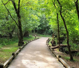 Image of Cayce Riverwalk Picnic Shelter park in Cayce, South Carolina, United States Image of Cayce Riverwalk Picnic Shelter park in cayce, south-carolina, united-states
