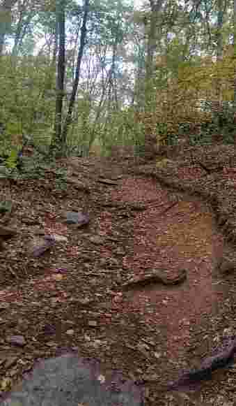 Image of Snake Den State Park Trailhead park in Johnston, Rhode Island, United States Image of Snake Den State Park Trailhead park in johnston, rhode-island, united-states