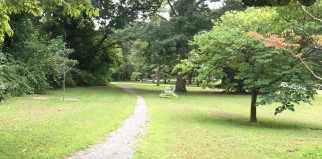 Image of Bronx River Park park in Scarsdale, New York, United States Image of Bronx River Park park in scarsdale, new-york, united-states