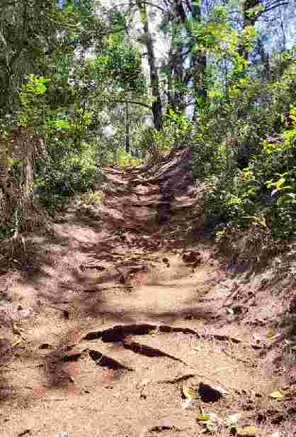 Image of Pu'u Ma'eli'eli Trail park in Kaneohe, Hawaii, United States Image of Pu'u Ma'eli'eli Trail park in kaneohe, hawaii, united-states