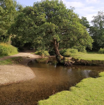 Image of Manning’s Pit park in North Devon, England, United Kingdom Image of Manning’s Pit park in north-devon, england, united-kingdom