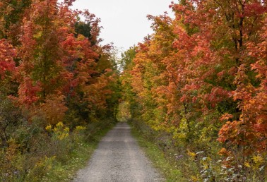 Image of Cataraqui Trail park in Smiths Falls, Ontario, Canada Image of Cataraqui Trail park in smiths-falls, ontario, canada