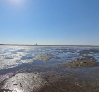 Image of Naturschutzgebiet park in Westerhever, Schleswig-Holstein, Germany Image of Naturschutzgebiet park in westerhever, schleswig-holstein, germany