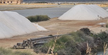 Image of Saline dello Stagnone park in Marsala, Sicilia, Italy Image of Saline dello Stagnone park in marsala, sicilia, italy