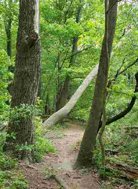 Image of Scott Park park in Erie, Pennsylvania, United States Image of Scott Park park in Erie, Pennsylvania, United States