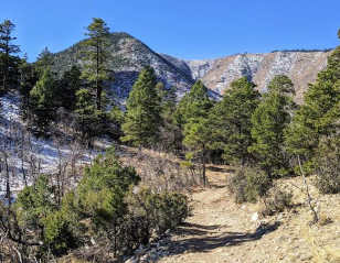 Image of Sandy Seep Trailhead park in Flagstaff, Arizona, United States Image of Sandy Seep Trailhead park in flagstaff, arizona, united-states