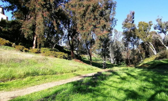 Image of Cabrillo Canyon park in San Diego, California, United States Image of Cabrillo Canyon park in san-diego, california, united-states