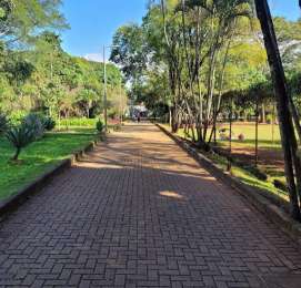 Image of Parque Ecológico Roberto Burle Marx (Parque das Águas) park in Barreiro, Southeast, Brazil Image of Parque Ecológico Roberto Burle Marx (Parque das Águas) park in barreiro, southeast, brazil