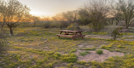 Image of Rio Salado Trail park in Phoenix, Arizona, United States Image of Rio Salado Trail park in phoenix, arizona, united-states