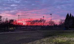 Image of Twin Oaks Park park in Rocklin, California, United States Image of Twin Oaks Park park in rocklin, california, united-states