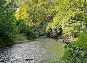 Image of Wea Creek Park park in Lafayette, California, United States Image of Wea Creek Park park in lafayette, california, united-states