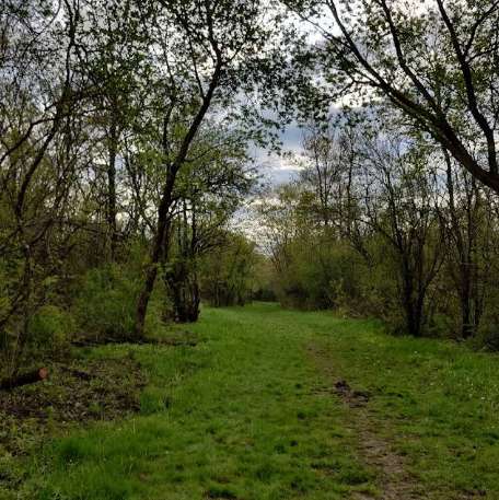Image of West DuPage Woods Forest Preserve park in Winfield, Kansas, United States Image of West DuPage Woods Forest Preserve park in winfield, kansas, united-states