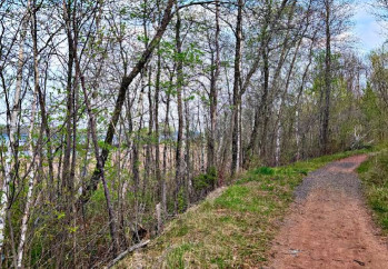 Image of Smithville - Blackmer Park Trail Connector park in Duluth, Georgia, United States Image of Smithville - Blackmer Park Trail Connector park in duluth, georgia, united-states