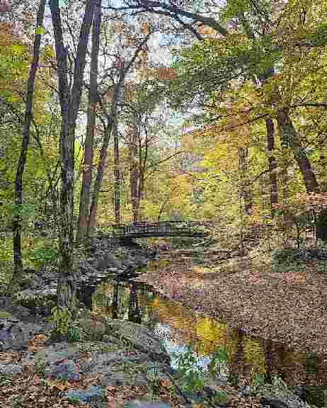 Image of Sligo Creek Trail park in Silver Spring, Maryland, United States Image of Sligo Creek Trail park in silver-spring, maryland, united-states