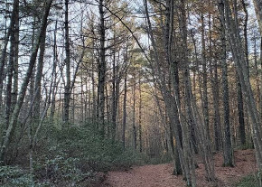Image of Sprague Farm Glocester Land Trust Trailhead park in Glocester, Rhode Island, United States Image of Sprague Farm Glocester Land Trust Trailhead park in glocester, rhode-island, united-states