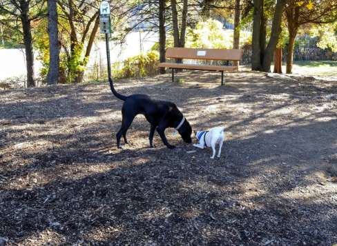 Image of Abendroth Park park in Port Chester, New York, United States Image of Abendroth Park park in port-chester, new-york, united-states