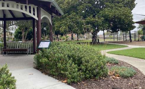 Image of Hopetoun Gardens park in Elsternwick, Victoria, Australia Image of Hopetoun Gardens park in elsternwick, victoria, australia