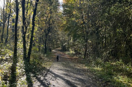 Image of Wald Oberdürrbach park in Veitshochheim, Bayern, Germany Image of Wald Oberdürrbach park in veitshochheim, bayern, germany