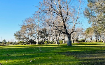 Image of North Talbert Trailhead park in Huntington Beach, California, United States Image of North Talbert Trailhead park in huntington-beach, california, united-states