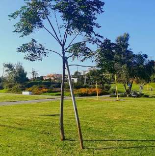 Image of Parque Urbano do Penedo park in Trajouce, Lisbon, Portugal Image of Parque Urbano do Penedo park in trajouce, lisbon, portugal