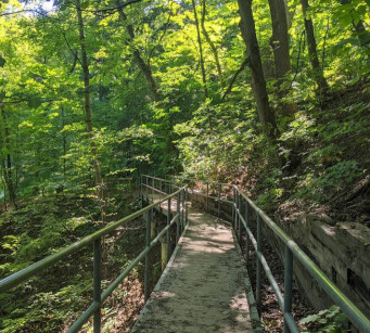 Image of David A. Balfour Park park in Toronto, Ontario, Canada Image of David A. Balfour Park park in toronto, ontario, canada