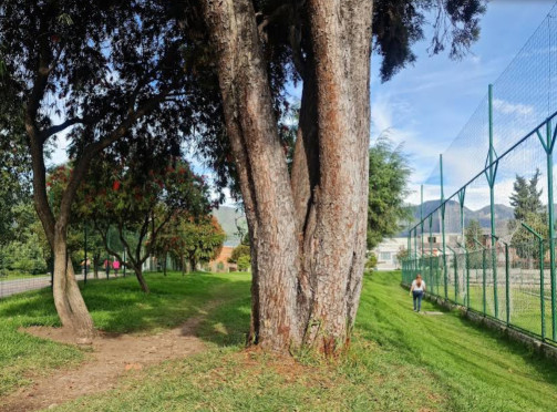 Image of Parque de La Fragua park in Bogota, Bogota, Colombia Image of Parque de La Fragua park in bogota, bogota, colombia