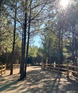 Image of Mint Hill Founders Park park in Charlotte, Michigan, United States Image of Mint Hill Founders Park park in charlotte, michigan, united-states