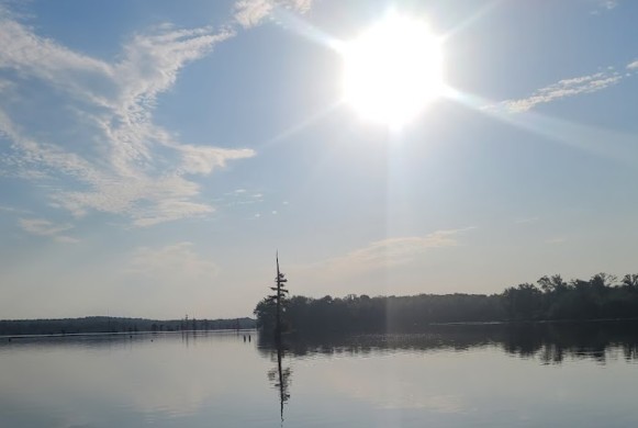 Image of Mayflower Lakeside Park park in Mayflower, Arkansas, United States Image of Mayflower Lakeside Park park in mayflower, arkansas, united-states