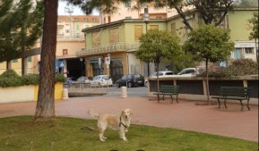 Image of Giardini Toscanini park in Imperia, Liguria, Italy Image of Giardini Toscanini park in imperia, liguria, italy