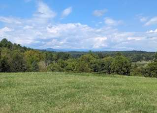 Image of Tuttle Educational State Forest park in Lenoir, North Carolina, United States Image of Tuttle Educational State Forest park in lenoir, north-carolina, united-states