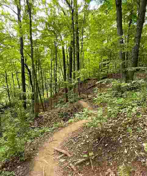 Image of Schoen Creek Trail park in Indianapolis, Indiana, United States Image of Schoen Creek Trail park in indianapolis, indiana, united-states