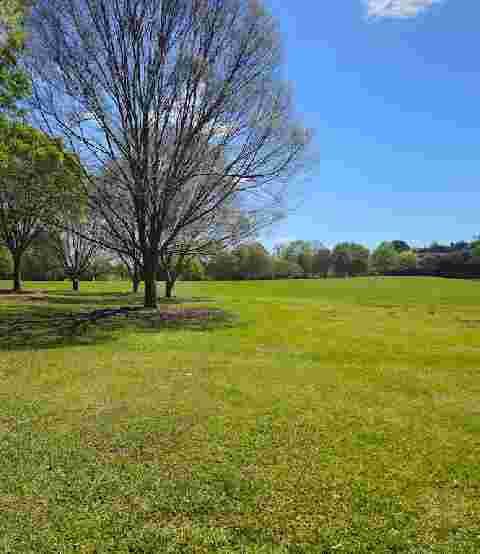 Image of Spring Forest Road Park park in Raleigh, North Carolina, United States Image of Spring Forest Road Park park in raleigh, north-carolina, united-states