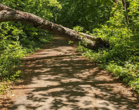 Image of Bull Mountain park in Asheville, North Carolina, United States Image of Bull Mountain park in asheville, north-carolina, united-states