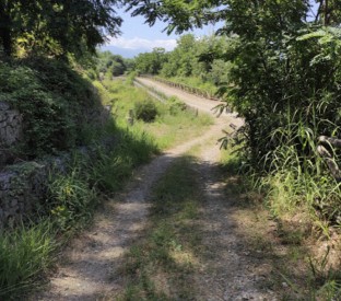 Image of Parco Naturale Bosco Crocelle park in Palma Campania, Campania, Italy Image of Parco Naturale Bosco Crocelle park in palma-campania, campania, italy