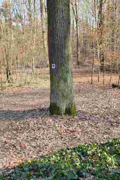 Image of Heldenhain park in Eberswalde, Brandenburg, Germany Image of Heldenhain park in eberswalde, brandenburg, germany