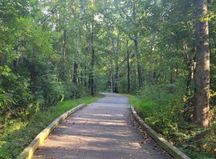 Image of Caldwell Station Creek Greenway park in Cornelius, North Carolina, United States Image of Caldwell Station Creek Greenway park in cornelius, north-carolina, united-states