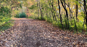 Image of Burton Park park in Excelsior, Minnesota, United States Image of Burton Park park in excelsior, minnesota, united-states