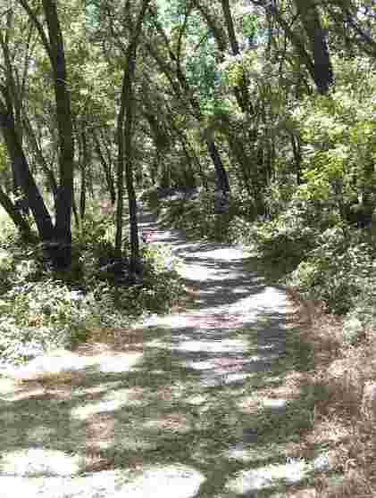 Image of Del Paso Regional Park park in Sacramento, California, United States Image of Del Paso Regional Park park in sacramento, california, united-states