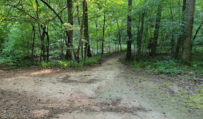 Image of Dauset Trails Bike and Hike Trails park in Jackson, California, United States Image of Dauset Trails Bike and Hike Trails park in jackson, california, united-states