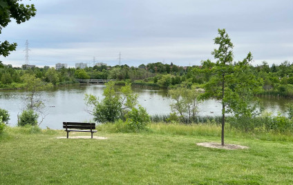 Image of L'Amoreaux Forest park in Toronto, Ontario, Canada Image of L'Amoreaux Forest park in toronto, ontario, canada