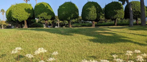 Image of 若宮公園 park in Gamagori, Aichi, Japan Image of 若宮公園 park in gamagori, aichi, japan