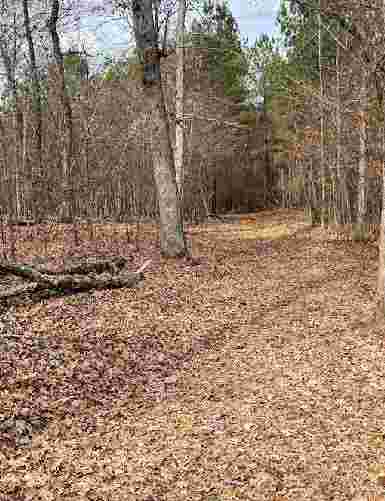Image of New Hope Creek Trail North park in Durham, New Hampshire, United States Image of New Hope Creek Trail North park in durham, new-hampshire, united-states