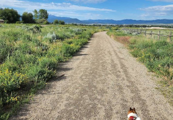 Image of Skyline Dog Park/ Kids Fishing Pond park in Butte, Montana, United States Image of Skyline Dog Park/ Kids Fishing Pond park in butte, montana, united-states